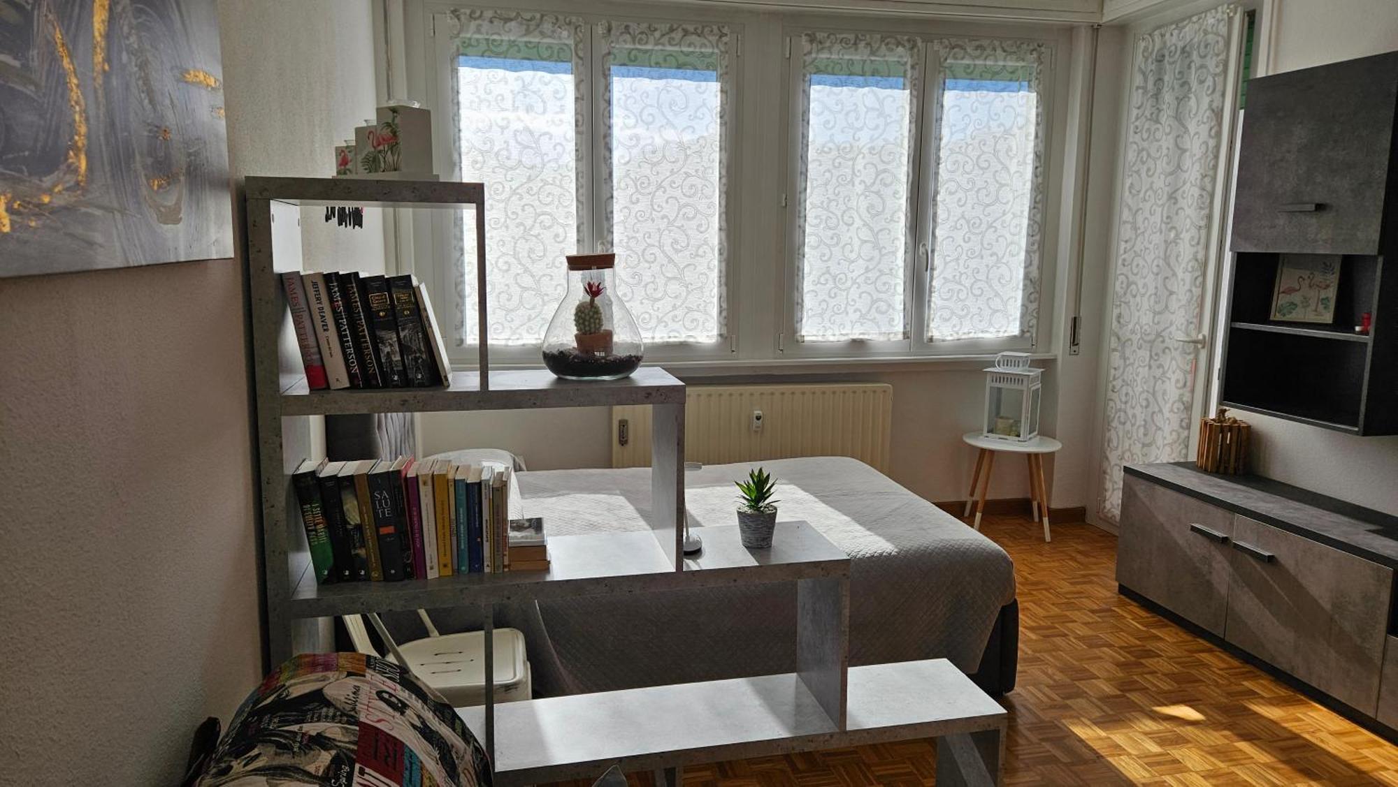 Appartamento Dana'S House Campione dʼItalia Esterno foto
